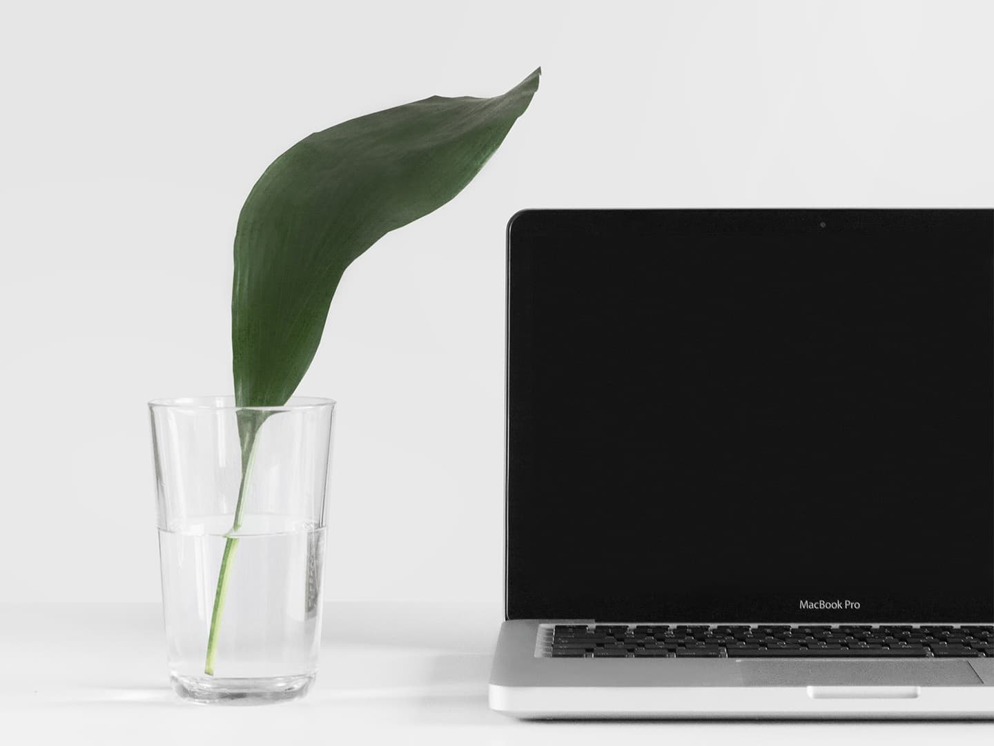 Mac next to a paperless plant in Redsauce
